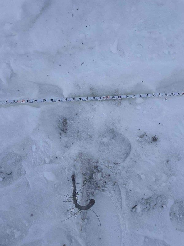 Returned to property to locate suspected broken pipe using camera equipment. Conducted exterior inspection in snowy conditions with measuring equipment to identify pipe location. Documentation photos were taken of the HVAC unit area and measurements where pipe damage is suspected.