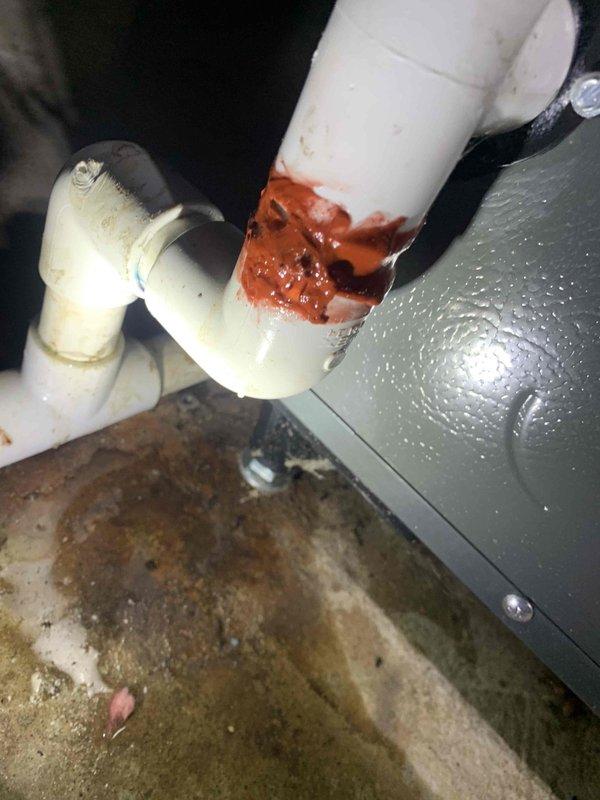 Responded to call back regarding water leakage at the furnace drain line. Identified improper sealing at PVC pipe joint with excessive application of pipe cement causing leakage onto concrete floor. Repaired connection with proper sealing technique and verified no further leakage at the air handler condensate drain.