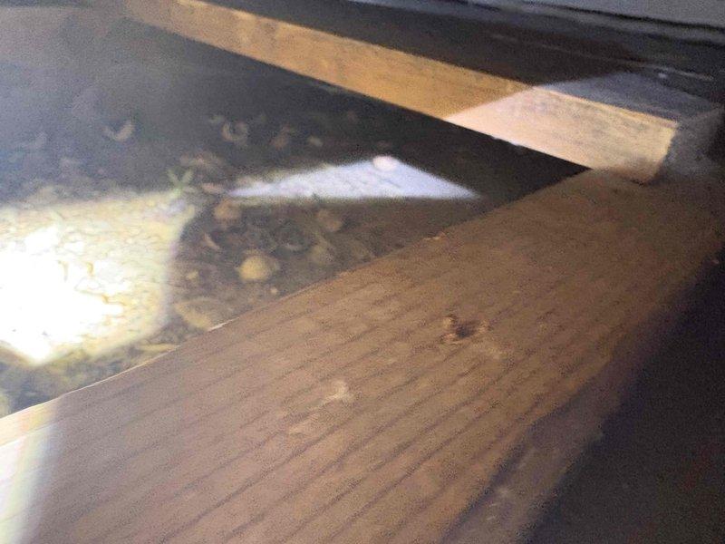 Responded to customer complaint of sewer smell near washer, which was a recurring issue previously addressed with vent installation. Inspected the plumbing ventilation system in the wall/ceiling area and examined wooden structural elements in the surrounding space to ensure proper air circulation and eliminate odor source.