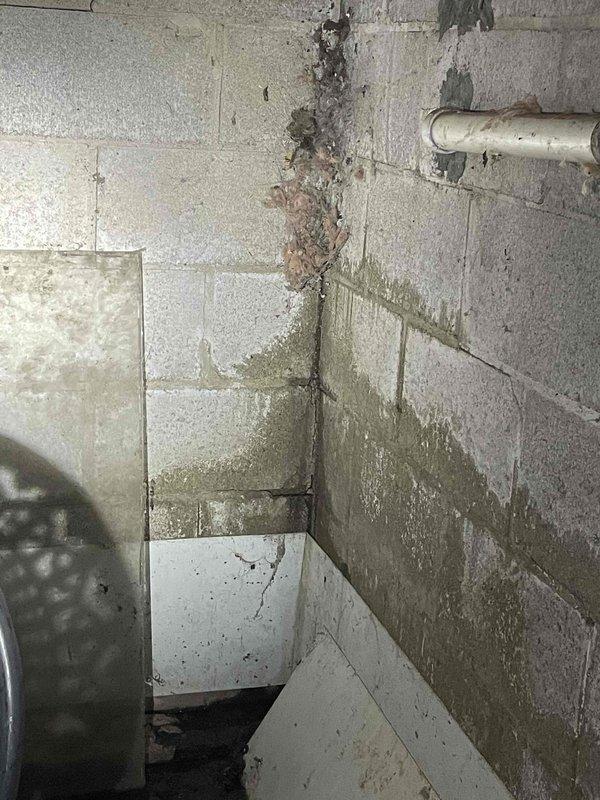 Responded to recurring humidifier leak issue in crawl space. Identified significant water damage on concrete block walls with visible moisture staining, efflorescence, and potential mold formation. Documented conditions with photos and addressed the leak source in the HVAC system to prevent further water infiltration.