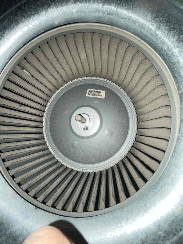 Performed scheduled heating maintenance on air handler unit per membership agreement. Inspected blower wheel assembly which showed moderate dust accumulation on blades. Examined control board components including capacitors, relays, and terminal connections; all electrical connections were secure with no visible damage to circuit board or wiring harnesses.