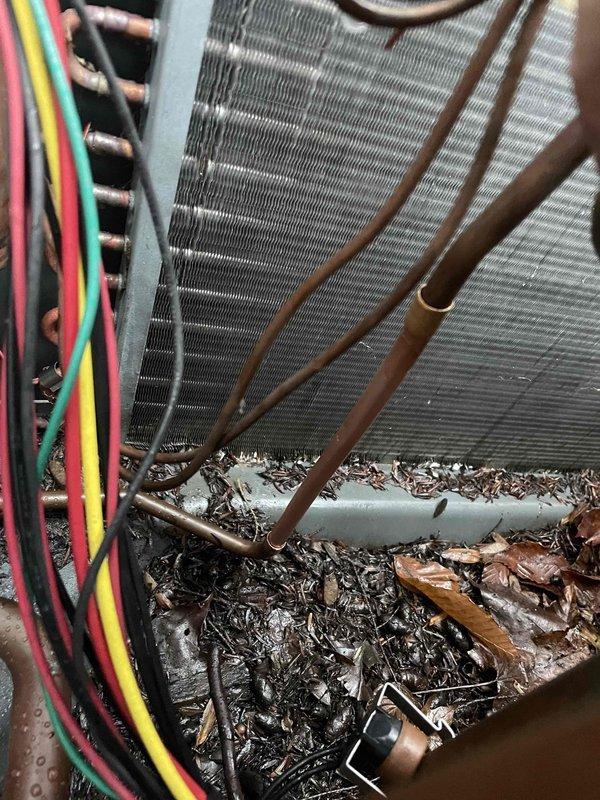 Completed warranty service to replace defective evaporator coil and TXV. Redid all interior fittings to ensure proper connections and system integrity. Found significant debris accumulation at unit base that was cleaned during service to improve system efficiency.