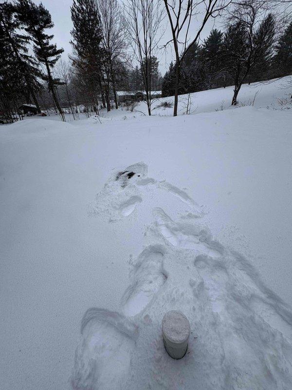 Cleared main line blockage causing backup through outdoor access point. Excavated snow-covered cleanout cap and removed accumulated sludge/sediment from drain system. After-hours service completed successfully; system now draining properly.