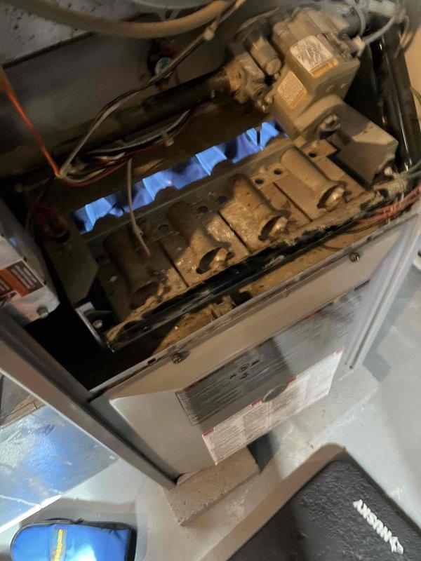 Performed heating maintenance on member's furnace. Inspected burner assembly, confirming proper ignition with blue flames and functional gas valve operation. Examined blower wheel, noting minor dust accumulation, and completed standard preventive maintenance procedures.