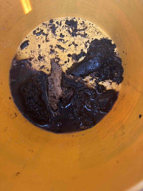 Responded to service call for kitchen sink clog. Performed drain cleaning procedure on affected sink, collecting significant amount of dark sludge and debris in containment vessel. Successfully restored proper drainage function to kitchen plumbing system.