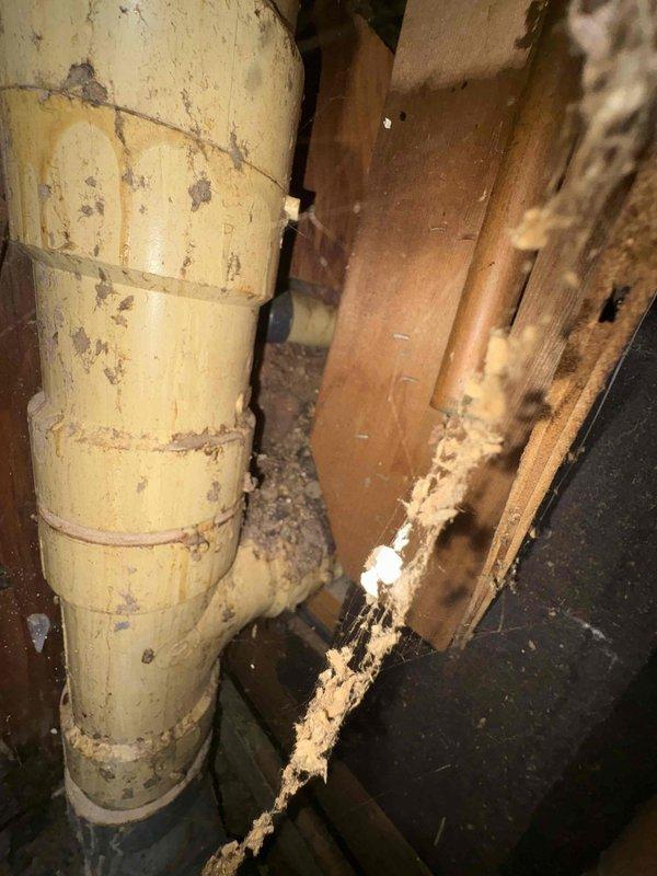 Replaced deteriorated wax ring on rear outlet toilet which had failed, causing significant water leakage. Inspection revealed water damage to surrounding flooring and corrosion at the toilet flange. Completed removal of old seal, cleaned mounting surface, and installed new seal to prevent further leakage.