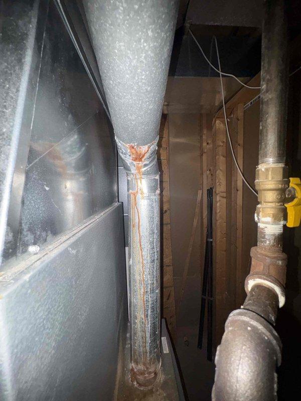 Performed diagnostic assessment on 50-gallon gas water heater (non-power vented, 10-12 years old) that was experiencing extended reheat times. Identified significant corrosion on heat exchanger and deteriorated insulation around exhaust components. Repaired damaged section of flue vent and replaced thermocouple to restore proper heating functionality.