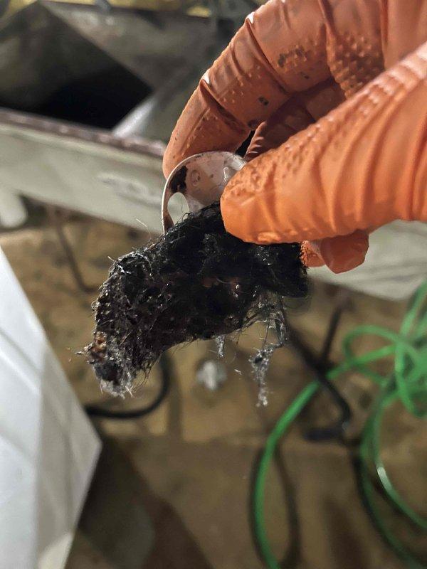 Responded to service call for severely clogged bathtub drain. Visual inspection revealed significant buildup of dirt, mold, and mineral deposits on interior drain surfaces. Successfully cleared blockage, removing substantial accumulation of hair and debris that was causing the restriction.