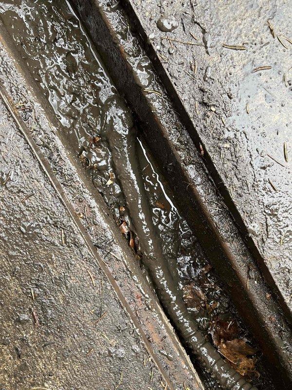 Responded to service call for clogged storm sewer drain with history of root intrusion. Performed inspection of drainage channels showing standing water and debris accumulation. Cleared blockage and restored proper drainage function, addressing recurring root infiltration issue that had previously affected the system.