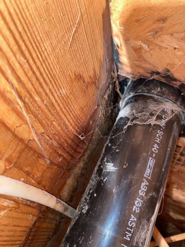 Diagnosed water leak in bathroom area with significant corrosion on toilet flange. Inspected PVC drainage pipe in subfloor structure, noting deterioration and potential water damage. Advised homeowner that floor joists and subflooring require repair before plumbing work can continue; homeowner will schedule return service after structural repairs are completed.