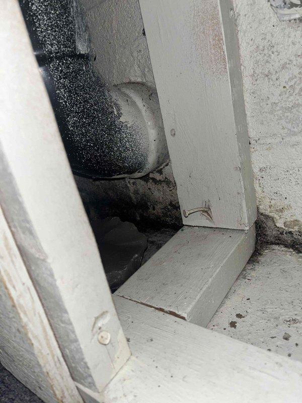 Inspected yard drainage system that was causing basement seepage issues. Discovered significant mold growth at the basement wall-floor junction and around the main water control valve housing. Cleared clogged exterior drain line to restore proper water flow away from foundation, preventing further basement water intrusion.