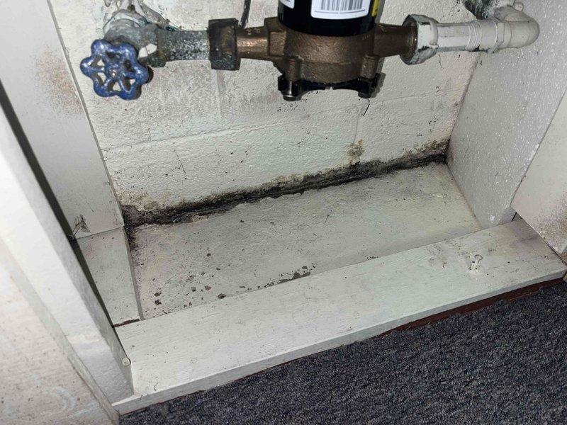 Inspected yard drainage system that was causing basement seepage issues. Discovered significant mold growth at the basement wall-floor junction and around the main water control valve housing. Cleared clogged exterior drain line to restore proper water flow away from foundation, preventing further basement water intrusion.