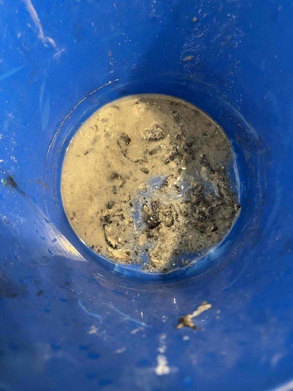 Responded to service call for a single clogged sink in 25-year-old residence. Inspection revealed significant debris and sediment buildup in drain line, with visible hair and particulate matter obstructing normal water flow. Successfully cleared blockage using professional drain cleaning equipment, restoring proper drainage function.