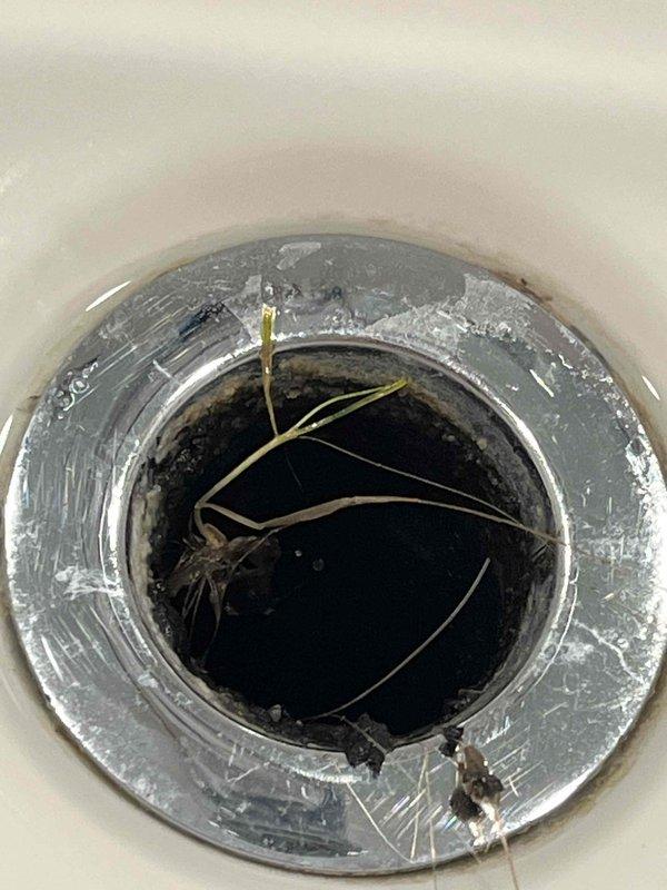 Responded to service call for a single clogged sink in 25-year-old residence. Inspection revealed significant debris and sediment buildup in drain line, with visible hair and particulate matter obstructing normal water flow. Successfully cleared blockage using professional drain cleaning equipment, restoring proper drainage function.