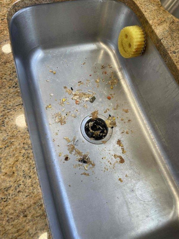 Replaced malfunctioning garbage disposal unit in stainless steel kitchen sink. Removed food debris from sink basin and drain prior to installation. Successfully installed new disposal and tested for proper operation.
