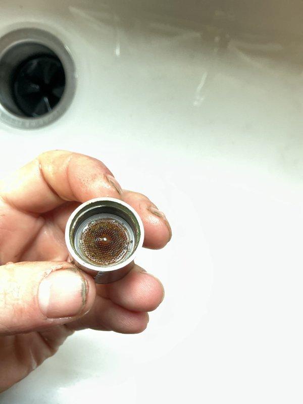 Performed plumbing membership service visit to address multiple issues including non-functional garbage disposal and activated sump pump alarm. Removed and cleaned faucet aerator that showed significant mineral buildup and sediment accumulation. Inspected Kohler shower fixture and controls during comprehensive system evaluation, which included examination of water softener and filtration systems.