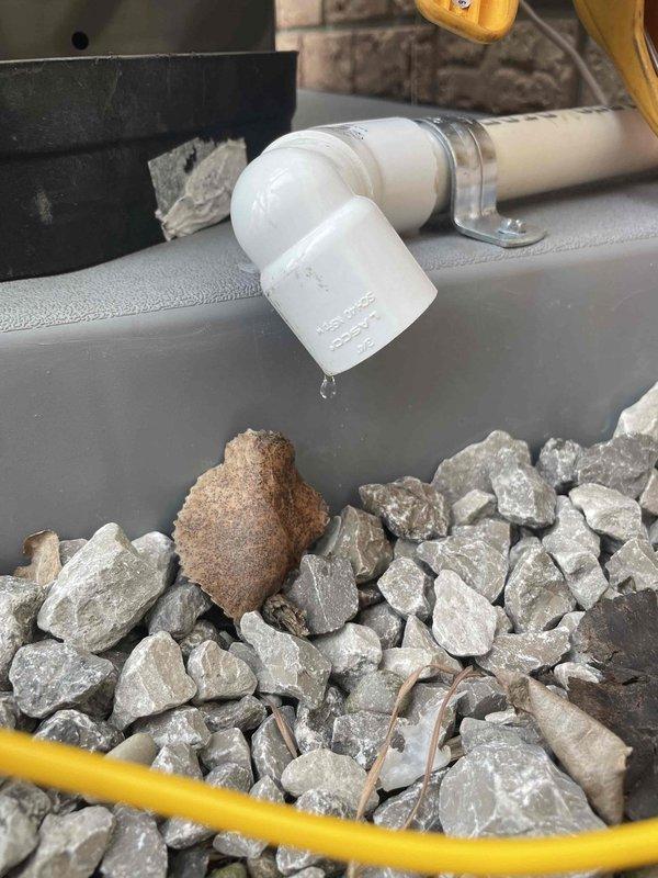 Completed cooling maintenance on air handler as part of club membership visit. Verified refrigerant charge using calibrated scale, confirming system operating at proper levels. Inspected condensate drain line and confirmed proper drainage flow through PVC discharge assembly into gravel-filled collection basin.