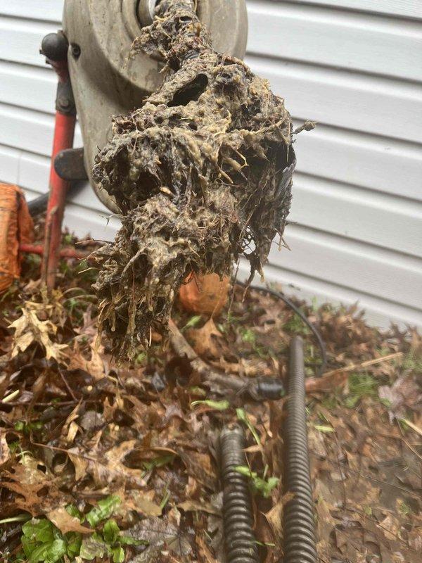 Responded to main drain line backup causing water and toilet paper to overflow into shower during laundry cycles, with occasional kitchen sink backup issues. Performed main drain cleanout and successfully removed extensive root intrusion and accumulated organic debris from the line. Customer was informed about available senior discount program for future plumbing services.