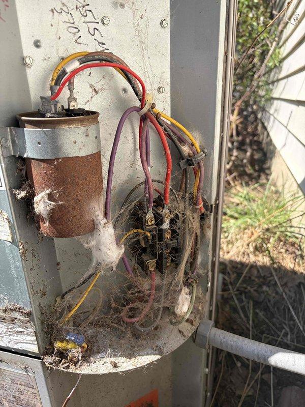 Responded to no heat call and diagnosed failed blower motor that was seized and making squealing noise. Used inspection camera to verify internal motor damage and confirmed complete motor failure. Replaced defective blower motor and restored heating operation to system.