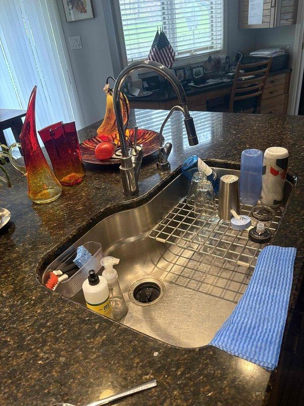 Mapped and located septic line using electronic detection equipment, marking the line path with flags for customer reference. Additionally, installed new kitchen faucet with pull-down sprayer feature, ensuring proper connections and testing for leaks upon completion.