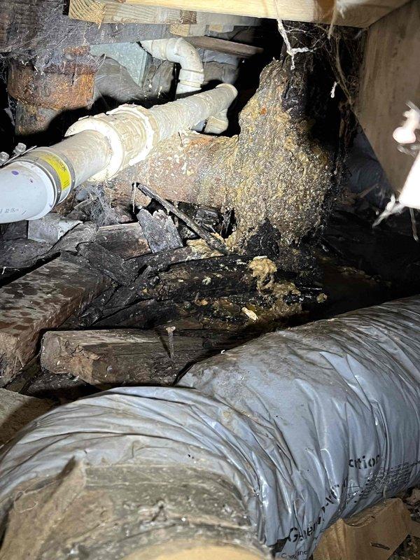 Responded to service call for clogged drain with root intrusion and leaking toilet. Upon inspection, accessed crawlspace and identified root penetration in drainage system causing blockage. Observed deteriorated plumbing infrastructure with evidence of root accumulation around drain lines. Addressed the clogged drain issue and inspected the force flush toilet for side leak. Documentation photos captured the crawlspace conditions, including affected plumbing lines, structural components, and extent of root intrusion debris.