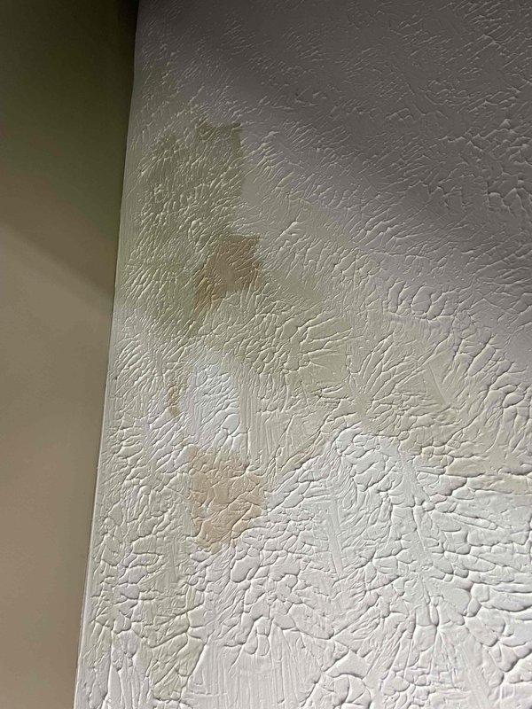 Responded to complaint of musty odor and visible moisture in upstairs bathroom of 32-year-old home. Utilized moisture detection equipment to assess affected areas, identifying water intrusion at wall-to-wall corner and ceiling-to-wall junction. Inspection revealed discoloration and staining on textured drywall surfaces, indicating active moisture penetration requiring further investigation to locate source of leak.