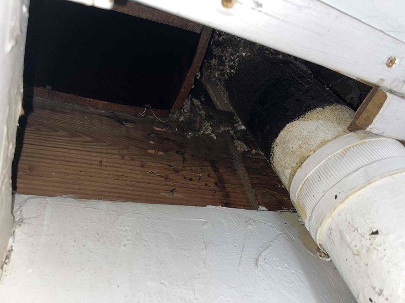 Responded to service call for severely corroded basement stack pipe requiring assessment and quote. Upon arrival, inspected exposed vertical drain stack with T-fitting connection serving kitchen drain line. Primary vertical section displayed extensive rust deterioration and corrosion throughout approximately 5 feet of pipe length, with heavy orange-brown oxidation, surface pitting, and structural compromise evident along the entire run. Corrosion was most severe in middle and lower sections where rust had penetrated deeply into pipe walls, creating significant risk of failure and potential water damage.

Documented condition of stack pipe showing rust streaking, wall discoloration, and moisture staining around pipe area indicating possible intermittent leaking. Assessed T-fitting junction point connecting to kitchen drain and evaluated structural integrity of corroded vertical section extending downward to base connection. Photographed deteriorated pipe sections, exposed basement utili