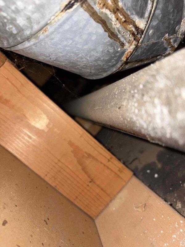 Conducted comprehensive plumbing assessment in attic/crawl space for kitchen remodeling project requiring relocation of existing plumbing fixtures. Evaluated current copper supply line routing, structural framing constraints, and access points to determine scope of work needed to relocate plumbing connections to accommodate new kitchen layout design.