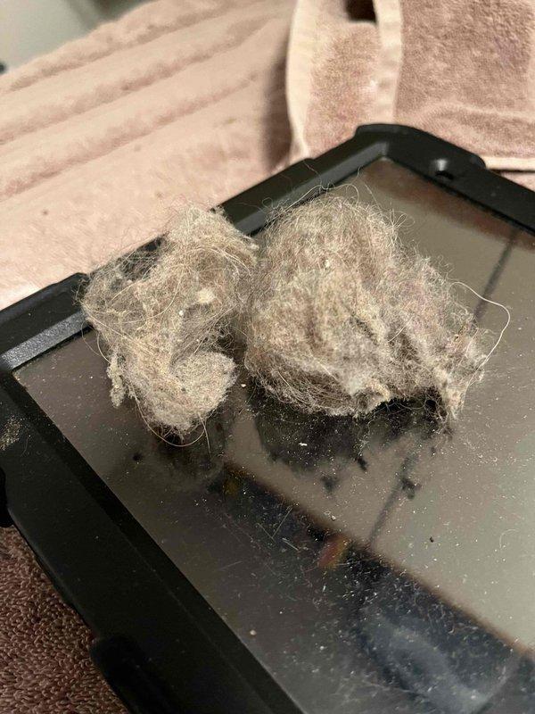 Responded to no hot water complaint in 30-year-old home with one-year-old water heater. Upon inspection, discovered significant lint and debris accumulation affecting the unit's combustion air intake and blower assembly. Removed and cleaned accumulated lint from blower housing and filter tray, inspected electrical connections and wiring, and verified proper operation of heating elements and thermostat controls. Restored hot water service to entire home after clearing obstructions and confirming unit functionality.