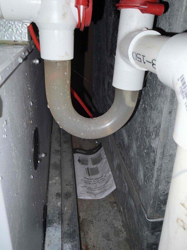 Completed routine cooling maintenance member visit on HVAC system. Inspected blower assembly and squirrel cage fan, noting normal operational wear with minor dust accumulation on fan blades and housing. Verified proper function of centrifugal fan components and air handling equipment. Inspected condensate drain system including P-trap configuration and PVC piping, confirming proper drainage and secure mounting. All system components operating within normal parameters.