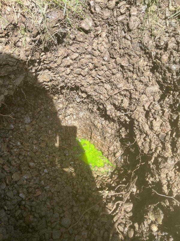Responded to clogged floor drain in basement. Upon arrival, confirmed that only the basement floor drain was affected with no other drains experiencing blockages throughout the property. Successfully cleared the obstruction and restored proper drainage function. Verified flow was operating normally upon completion of service.