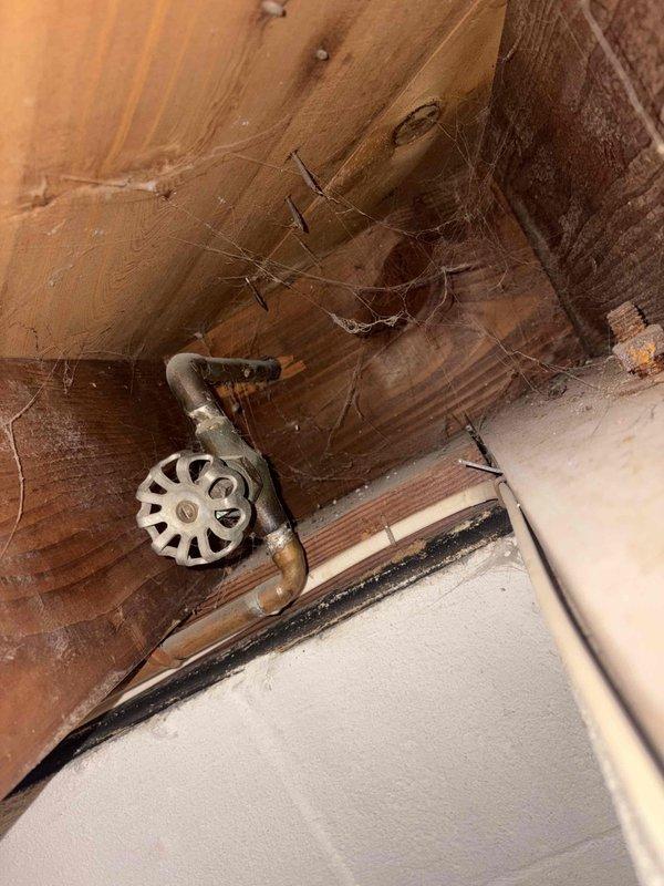 Installed new outdoor spigot with copper supply line assembly including shutoff valve with red handle in unfinished utility space. Customer inquired about promotional discount for second spigot installation following recent previous installation completed two weeks prior.