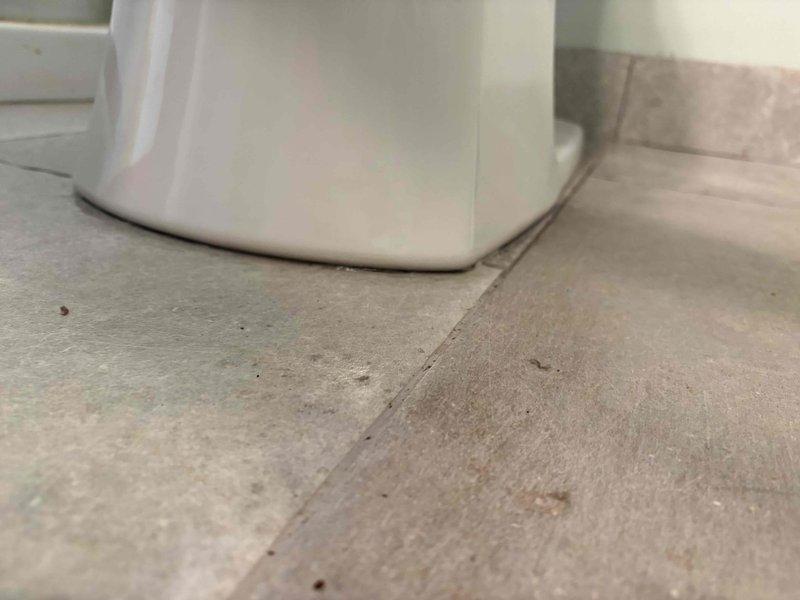 Responded to a service call for a toilet experiencing gurgling sounds after a rag was inadvertently flushed during a previous toilet reset. Inspected the fixture and surrounding plumbing connections, verified proper toilet installation and water supply line connection, and assessed the drainage system for potential blockages. The toilet was found to be properly seated on the flange with adequate wax ring seal, and all visible components were functioning correctly at the time of inspection.