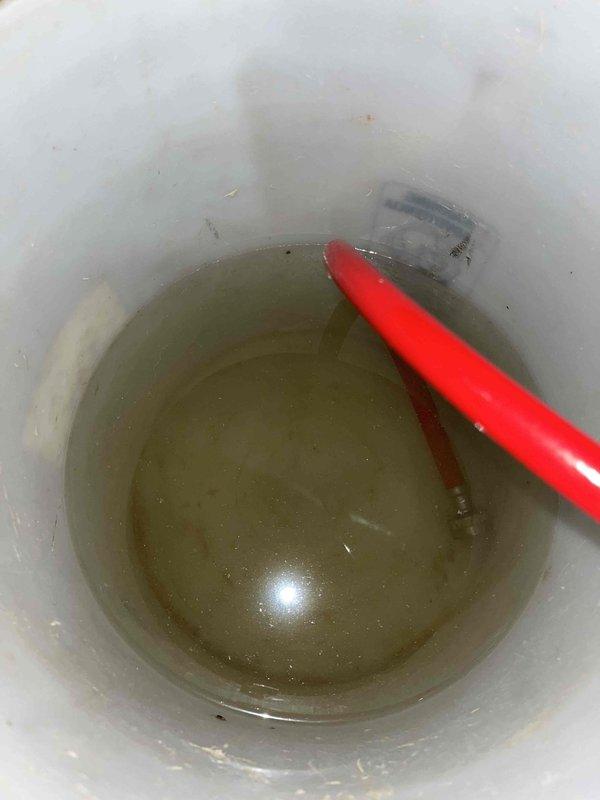 Performed comprehensive flush and descale service on tankless water heater unit. Connected service lines to isolation valves and circulated descaling solution through the heat exchanger to remove mineral buildup and sediment accumulation. Flushed system thoroughly until discharge water ran clear, restoring optimal heat transfer efficiency and flow rate performance.
