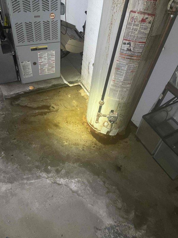 Responded to clogged kitchen sink at 50-year-old residential property. Upon arrival, performed initial assessment of plumbing system and drainage conditions. Inspected utility area and basement plumbing infrastructure to identify source of blockage and evaluate overall system condition.

During inspection, observed aging water heater with visible corrosion and rust accumulation at base, along with significant moisture damage and water staining on concrete floor throughout utility area. Floor exhibited yellowish-brown discoloration and dampness, indicating ongoing or recent water intrusion issues. Wall surfaces showed moisture exposure with staining near floor level, particularly in corner areas.

Cleared kitchen sink drain blockage using appropriate drain cleaning equipment and techniques. Verified proper water flow and drainage after clearing obstruction. Tested sink to ensure complete restoration of normal drainage function.

Documented existing conditions in utility area, including 