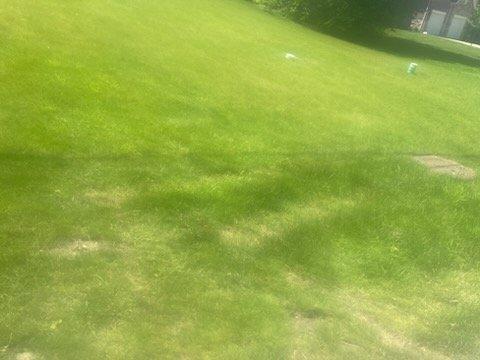 Responded to yard drainage concerns affecting residential lawn area. Upon inspection, identified significant surface water accumulation patterns causing soil saturation and grass deterioration across primary yard space. Observed parallel drainage tracks and bare soil patches indicating poor water dispersion and inadequate ground absorption. Assessed existing grade conditions and determined water flow patterns contributing to standing water issues. Evaluated subsurface drainage capacity and recommended installation of French drain system or catch basin solution to redirect groundwater away from affected areas. Documented current lawn conditions with photographic evidence showing extent of water damage and erosion patterns for service records.