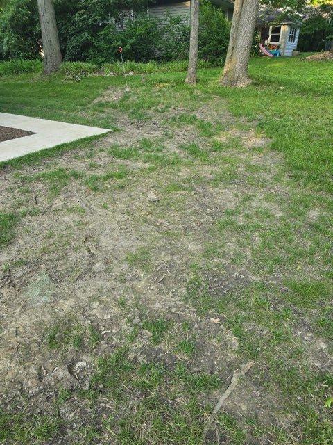 Responded to yard drainage concerns affecting residential lawn area. Upon inspection, identified significant surface water accumulation patterns causing soil saturation and grass deterioration across primary yard space. Observed parallel drainage tracks and bare soil patches indicating poor water dispersion and inadequate ground absorption. Assessed existing grade conditions and determined water flow patterns contributing to standing water issues. Evaluated subsurface drainage capacity and recommended installation of French drain system or catch basin solution to redirect groundwater away from affected areas. Documented current lawn conditions with photographic evidence showing extent of water damage and erosion patterns for service records.