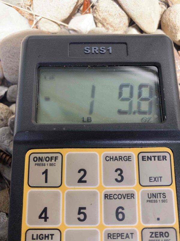 Completed warranty repair by replacing A2L control board and sensor on residential HVAC system. Performed AC startup procedures and system testing. Verified proper refrigerant charge reading of 1.98 lbs using digital scale. Confirmed all equipment operating within manufacturer specifications and system ready for cooling season.