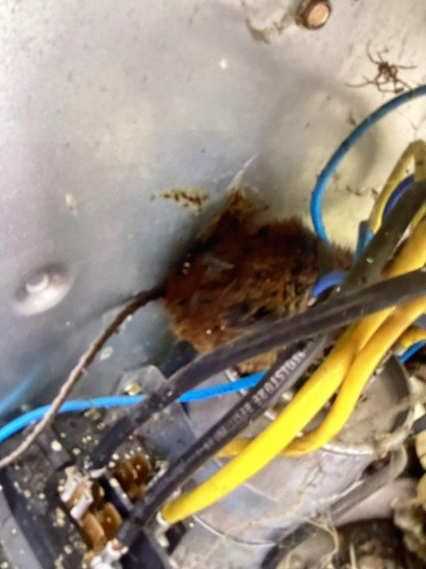 Responded to no cooling call with non-functional thermostat. Upon inspection, found damaged and corroded thermostat wiring in junction box with significant debris accumulation affecting electrical connections. Replaced faulty thermostat wiring, cleaned junction box, secured all wire connections, and restored system operation. Verified proper thermostat function and air conditioning operation before departure.