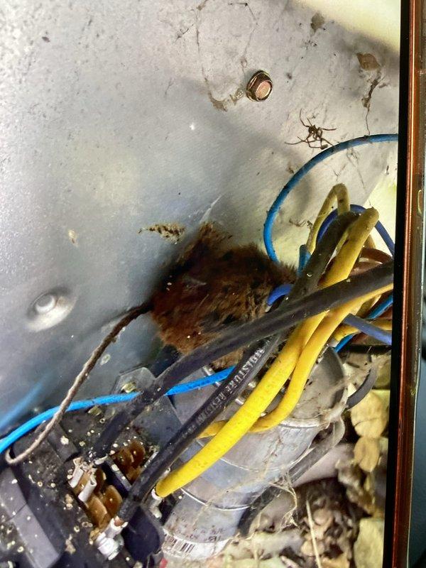Responded to no cooling call with non-functional thermostat. Upon inspection, found damaged and corroded thermostat wiring in junction box with significant debris accumulation affecting electrical connections. Replaced faulty thermostat wiring, cleaned junction box, secured all wire connections, and restored system operation. Verified proper thermostat function and air conditioning operation before departure.