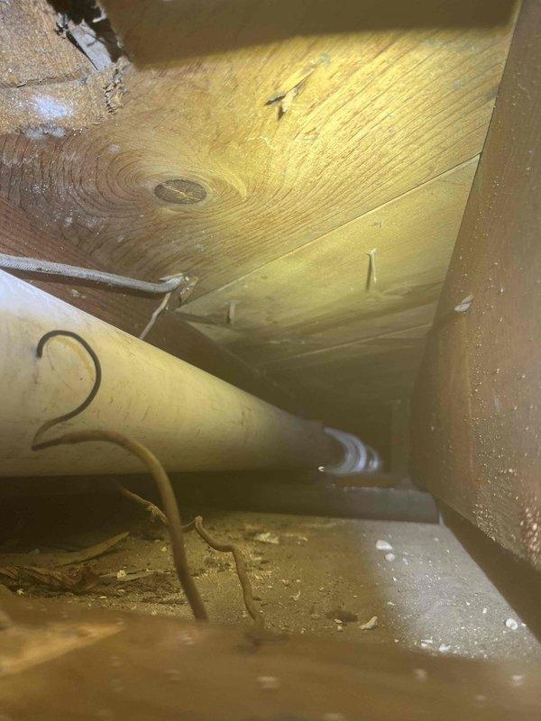 Completed return visit for partial bathroom repipe installation. Accessed crawlspace beneath bathroom to inspect and verify proper installation of new copper supply lines. Confirmed piping is properly secured to structural framing and all connections are watertight with no visible leaks. Bathtub drain assembly verified operational with chrome stopper functioning correctly.