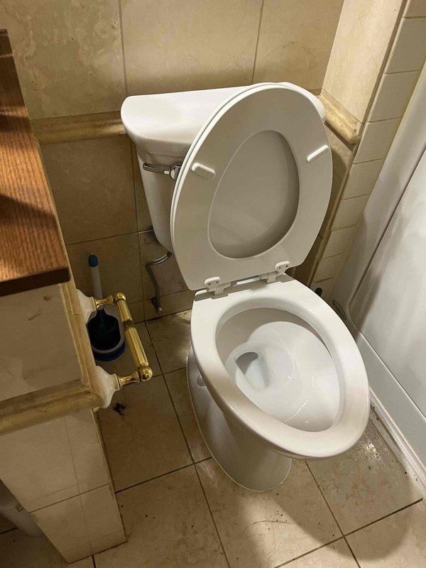 Conducted on-site assessment of downstairs residential toilet to provide repair estimate. Inspected standard tank-style toilet fixture, including flush mechanism, bowl, seat, and surrounding plumbing connections. Documented current condition of unit and bathroom infrastructure for estimate preparation.