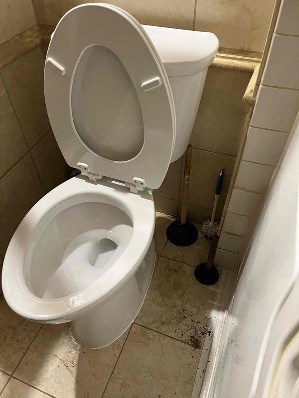 Conducted on-site assessment of downstairs residential toilet to provide repair estimate. Inspected standard tank-style toilet fixture, including flush mechanism, bowl, seat, and surrounding plumbing connections. Documented current condition of unit and bathroom infrastructure for estimate preparation.