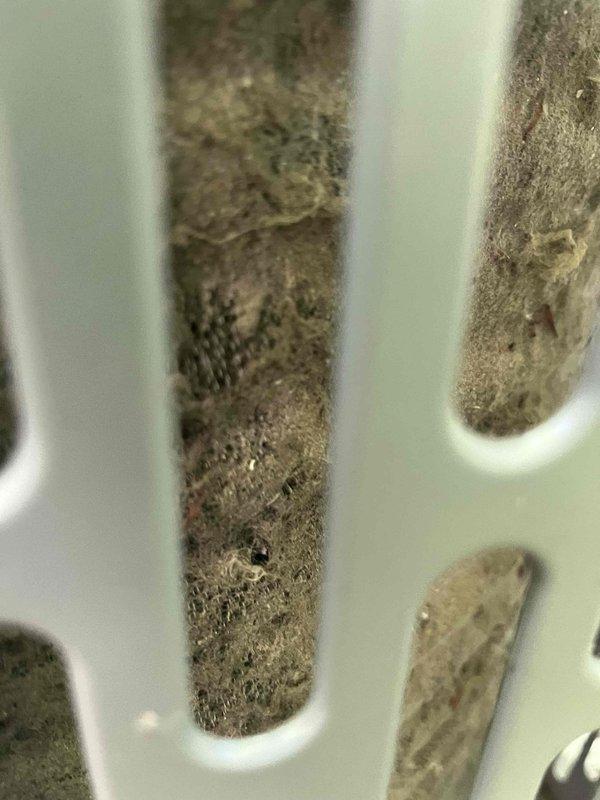 Responded to service call for unusual noise described as fan hitting something in HVAC system installed in 2022. Upon inspection, discovered significant accumulation of dust, dirt, and debris on evaporator coils and fins, with contamination substantial enough to impede airflow and potentially cause fan interference. Cleaned and cleared debris from coil assembly and surrounding components to restore proper operation and eliminate noise issue. Unit operating normally upon completion with improved airflow through clean coils.