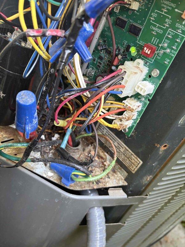 Responded to no heat call on 20-year-old heat pump system. Upon inspection, found significant debris and rodent nesting material accumulated inside the control panel compartment, compromising electrical connections and control board operation. Removed contamination from electrical enclosure, cleaned circuit board connections, and verified all wire terminations at control board and capacitor. Tested system operation and confirmed heat pump now cycling properly with warm air delivery restored.
