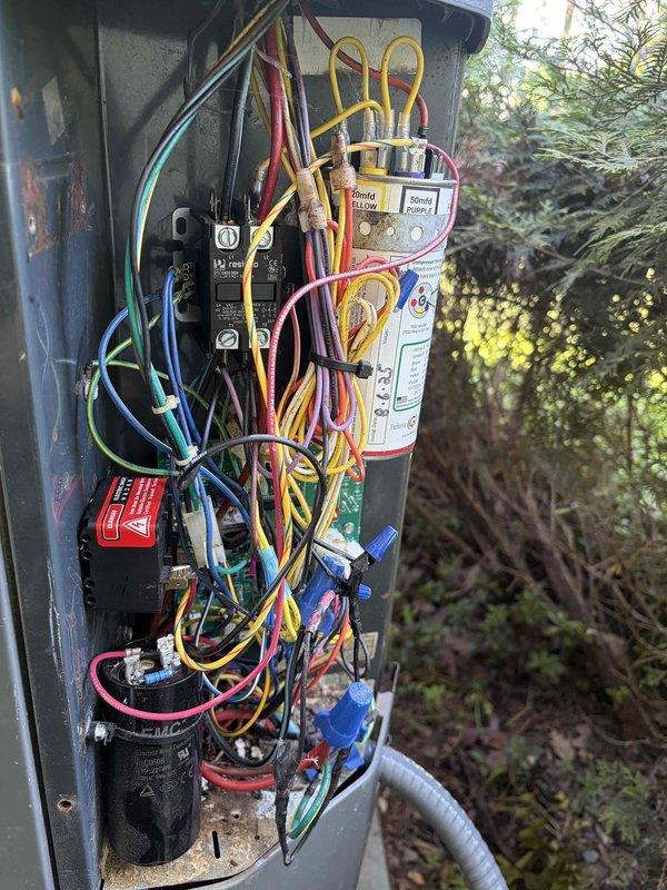 Responded to no heat call on 20-year-old heat pump system. Upon inspection, found significant debris and rodent nesting material accumulated inside the control panel compartment, compromising electrical connections and control board operation. Removed contamination from electrical enclosure, cleaned circuit board connections, and verified all wire terminations at control board and capacitor. Tested system operation and confirmed heat pump now cycling properly with warm air delivery restored.