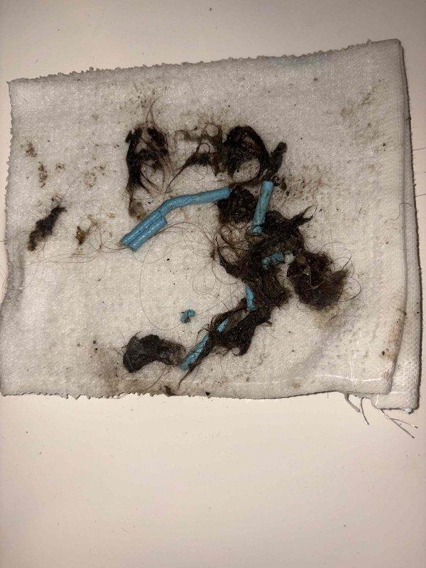Responded to a clogged bathtub drain backup. Removed drain cover and extracted significant accumulation of hair, debris, and foreign objects including blue plastic fragments from the drain assembly. Cleared blockage, cleaned drain opening of residue buildup, and tested drainage flow to ensure proper operation was restored.