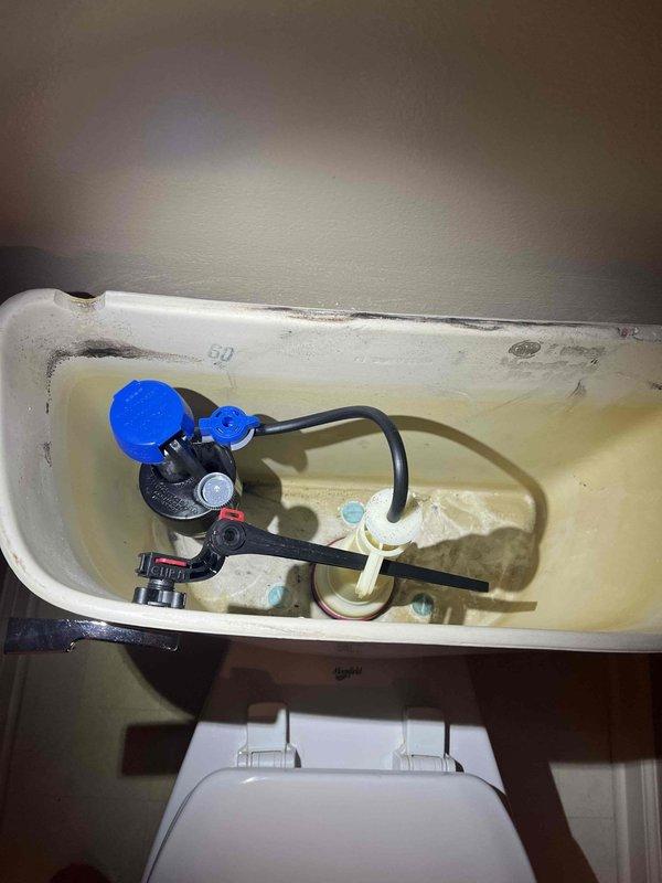 Responded to a toilet leak originating from the fill valve assembly. Upon inspection, identified a deteriorated braided stainless steel supply line requiring replacement. Replaced the faulty supply line connecting the wall-mounted shut-off valve to the toilet tank fill valve with new braided flex line, ensuring proper connections at both the angle stop and fill valve shank. Tested system for leaks and verified proper fill valve operation and water flow.