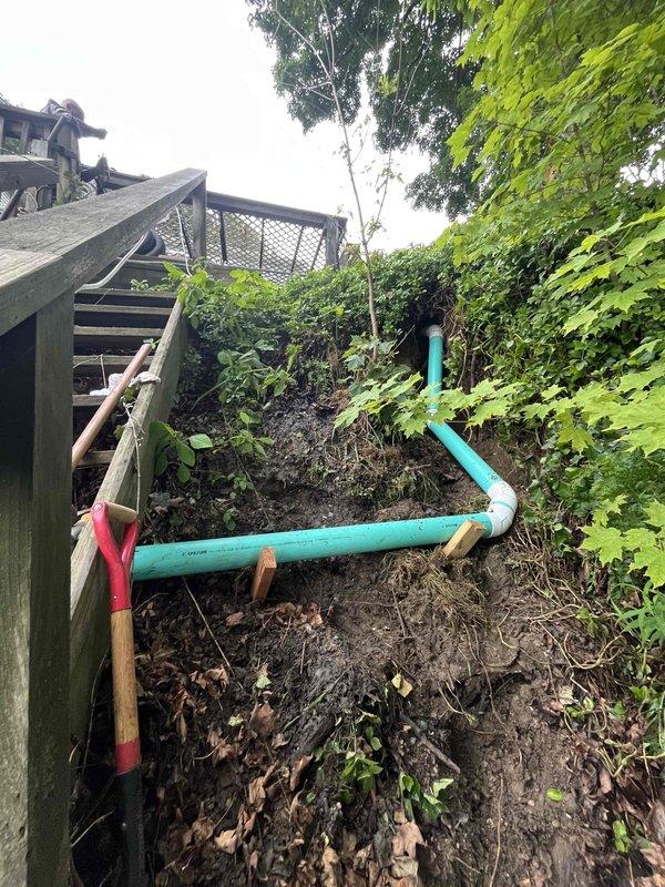 Returned to property to complete installation of 150 feet of corrugated drainage pipe extending from structure down to lake area. Routed black corrugated flexible tubing through overgrown vegetation and landscaped terrain, securing pipe along natural grade to ensure proper drainage flow. Installed turquoise PVC drainage line section near weathered wooden deck structure, supporting pipe with wooden stakes at intervals to maintain proper elevation and prevent sagging. Pipe routing navigated through dense vegetation including tall grasses, ferns, and climbing vines while maintaining appropriate slope for water discharge to lake.