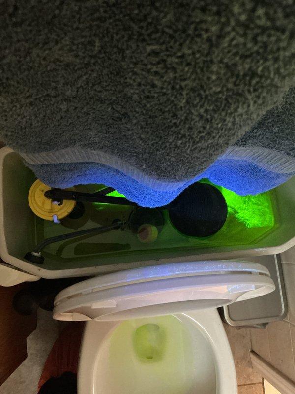 Responded to plumbing maintenance visit for member reporting quadrupled water bill indicating potential leak. Performed diagnostic dye test using fluorescent tracer in toilet tank and plumbing system to identify source of water loss. Inspection revealed internal toilet leak with dye visible in bowl, confirming faulty flapper valve or flush valve assembly causing continuous water flow and excessive water consumption.